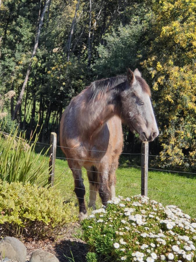Blue Bell Cottage. Serene Luxury Farmstead Holiday home *